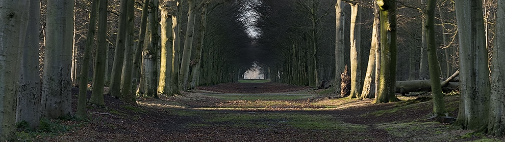 ©Rob Liefveld Fotografie / PrachtStad Heiloo