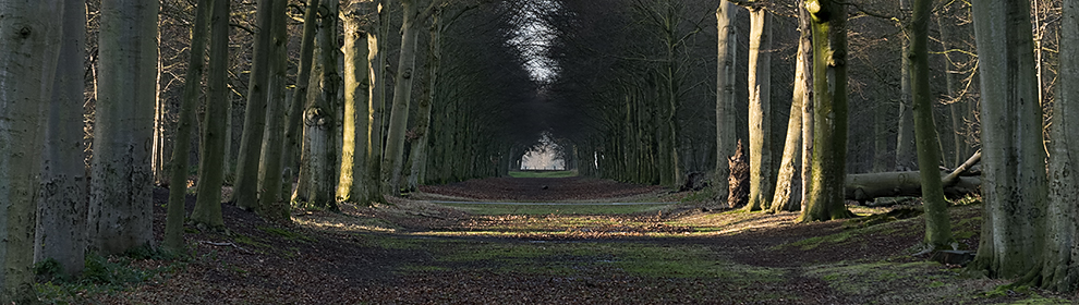 ©Rob Liefveld Fotografie /  PrachtStad 